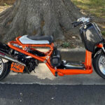 honda ruckus side profile