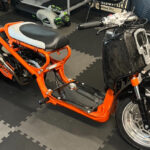 honda ruckus sexy